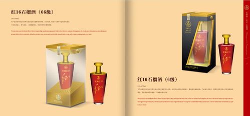 五糧液紅酒品牌策劃與營銷推廣方案 借勢名酒基因，開拓品質(zhì)紅酒新藍(lán)海